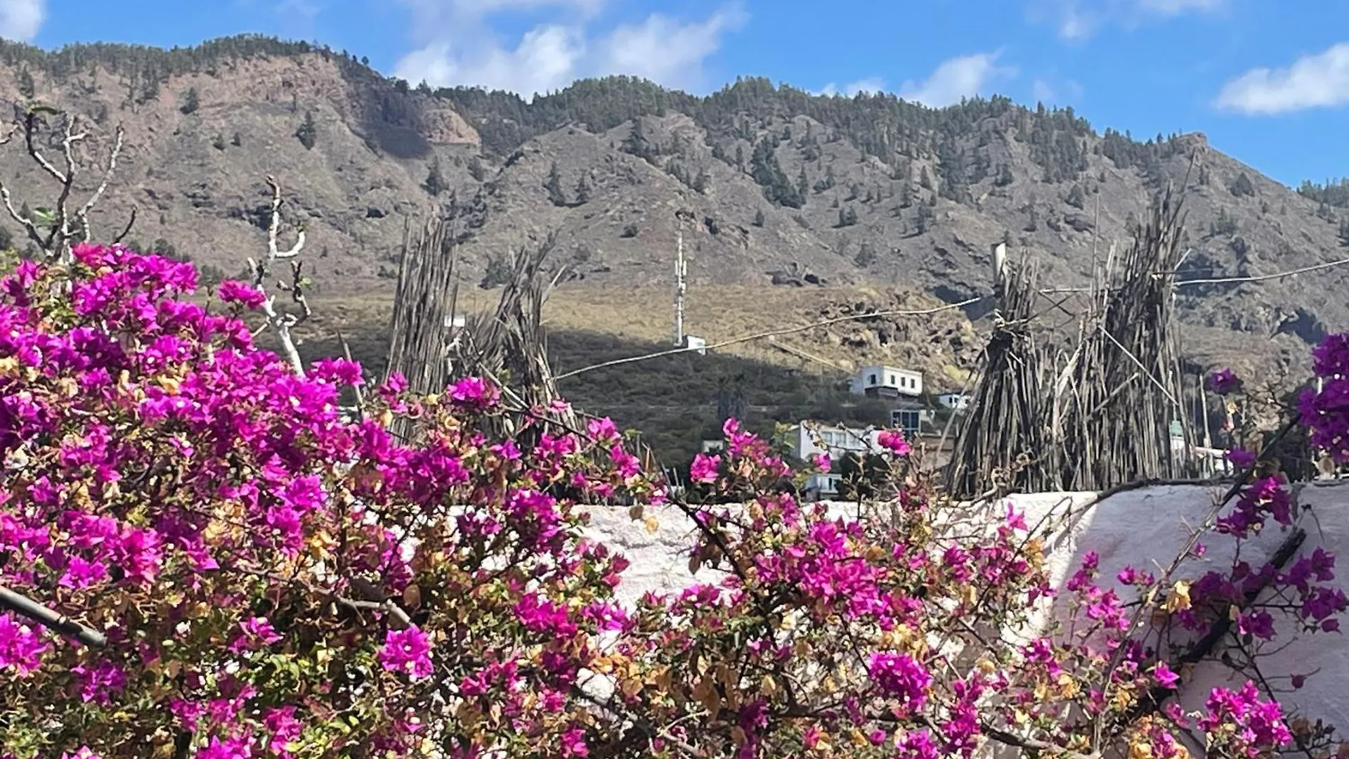 Tierrazul Art Boutique Rose Sweet Suite Costa Adeje  Διαμέρισμα Costa Adeje (Tenerife)